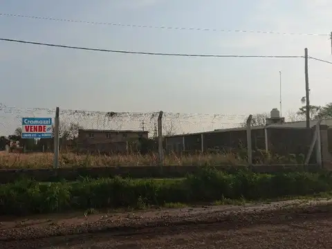 MARTINA PEDRO 3900
