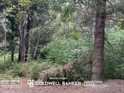 Terreno en Venta de 3109,0 m2