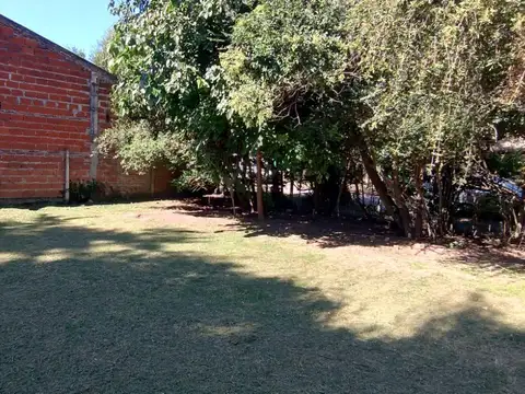 French entre Rosalia de Castro y Vieytes