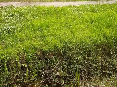 Terreno en Venta en Zona Hipermercado, USD 17.000