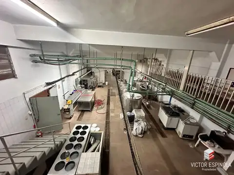 RODRIGUEZ PEÑA 4600