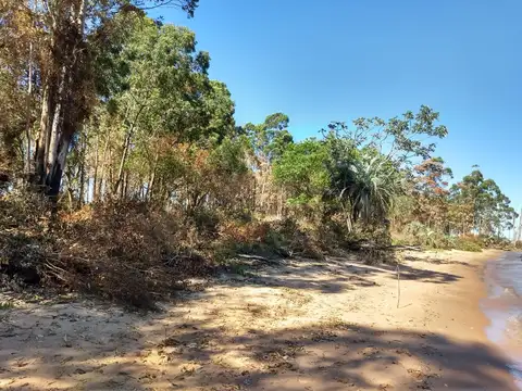 RUTA 12 KM 1298 100