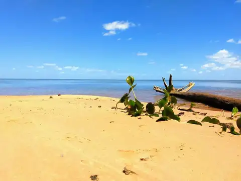 RUTA 12 KM 1298 100