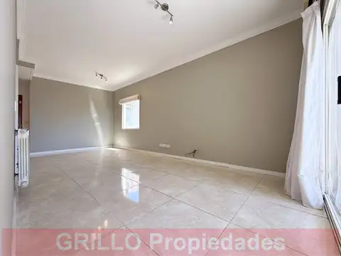 Pico 1683 100
