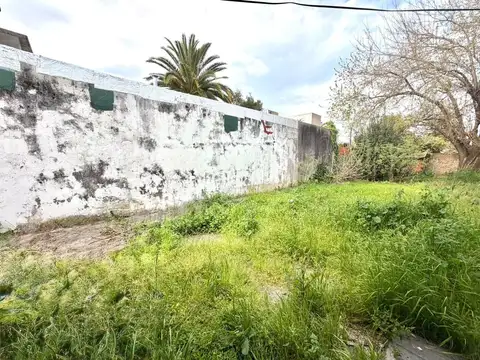 Casa en planta baja a reciclar con amplio lote.