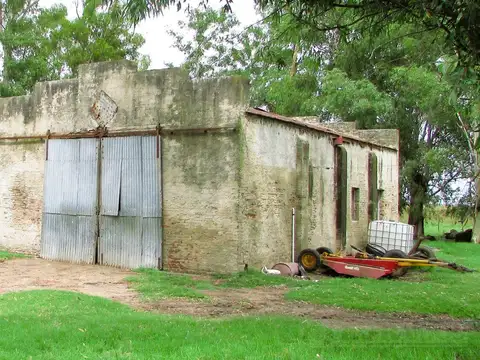 1166 ha Campo Mixto en Carlos Tejedor. Transf. paquete accionario.