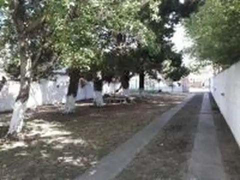 55 n° 338 (REF.120386)