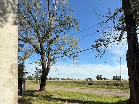 Terreno en Venta 43  mts Fondo