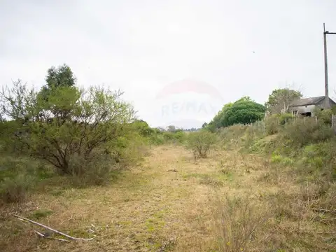 Av. España Casi Ruta 100