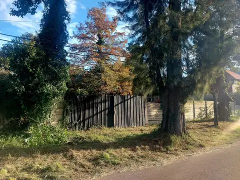 Rodriguez Peña 2400