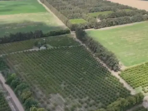 Campo en Venta de 17  ha