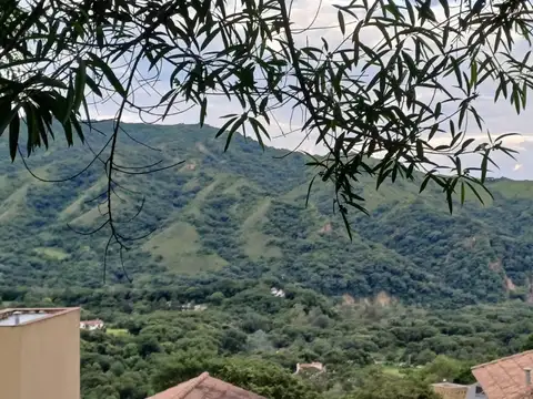 Los Ceibos, La Hoyada 100