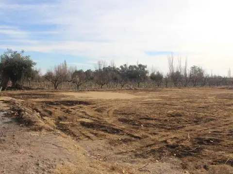 Terreno en Venta de 6291,0 m2
