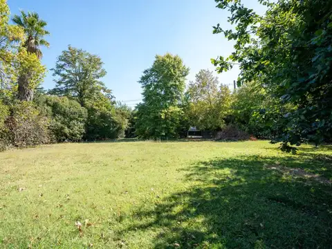 Terreno en Venta 40  mts Fondo