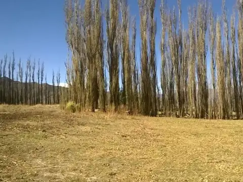 Excelente Finca 7,5 ha venta en Cachi Adentro. C/proyecto pa