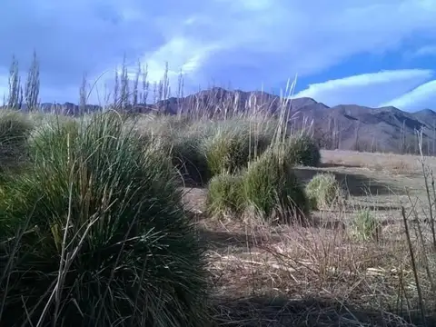 Campo en Venta de 7,50  ha