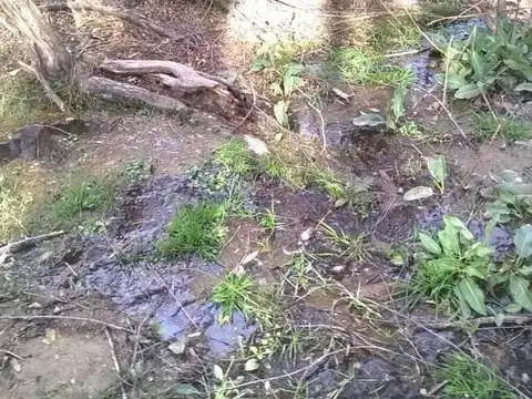 Campo en Venta de 7,50  ha