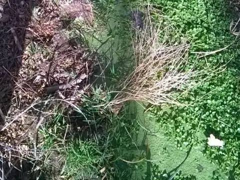 Cachi Adentro Al Pie De Los Cerros De Los