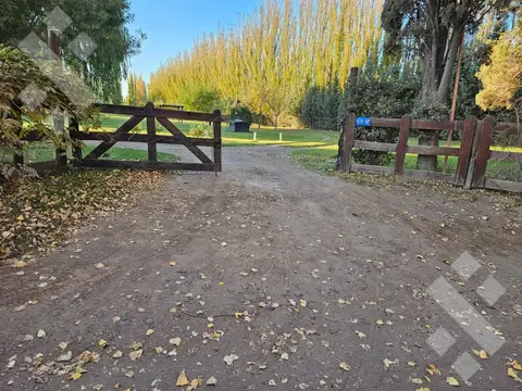 VENTA (EN EXCLUSIVA) CASA QUINTA Y SALÓN DE USOS MÚLTIPLES - CIPOLLETTI