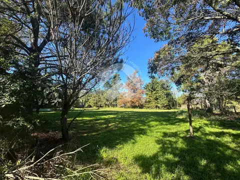 Pedro Gonzalez al 500