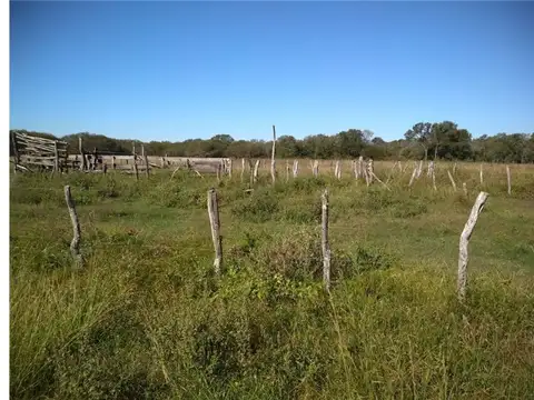 SE VENDE CAMPO GANADERO EN MARGARITA