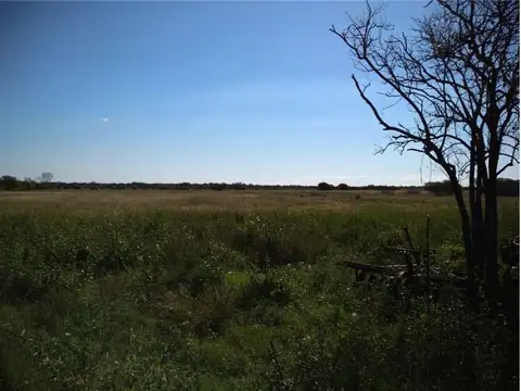 SE VENDE CAMPO GANADERO EN MARGARITA