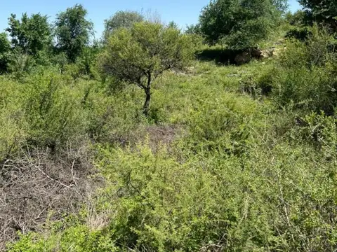 Lote en venta en Villa Parque Siquiman