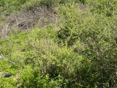 Terreno en Venta de 914,0 m2