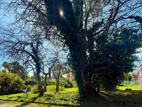 Terreno en Venta de 888,0 m2