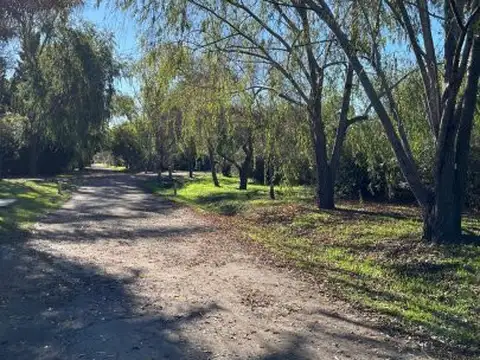 Terreno en Venta 12  mts Frente