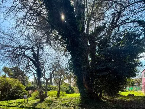 Terreno en Venta 37  mts Fondo