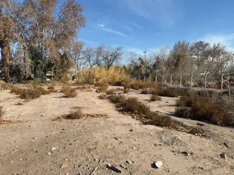 Terreno en Venta de 1100,0 m2