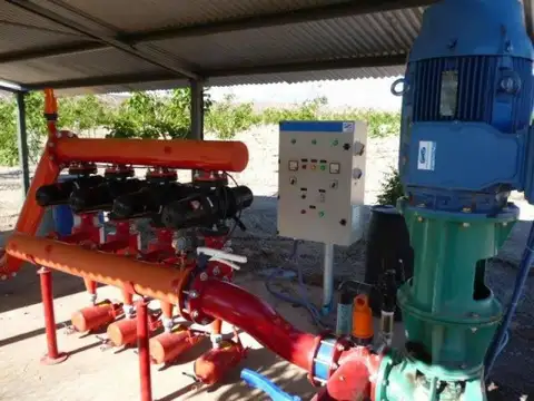 Campo con nogales y línea de procesamiento. San Juan.