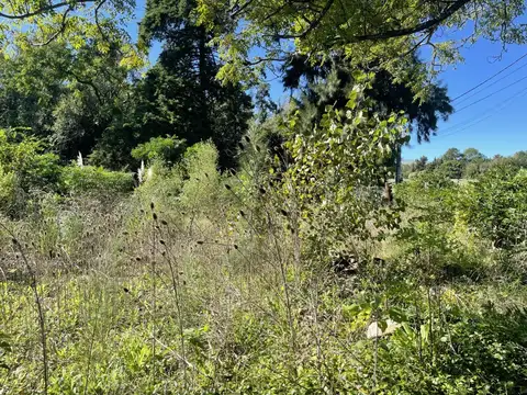 Hermoso lote comercial sobre colectora