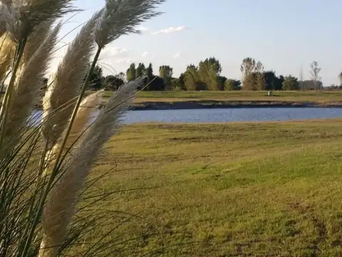 Terreno en Venta en Área 60, USD 11.000