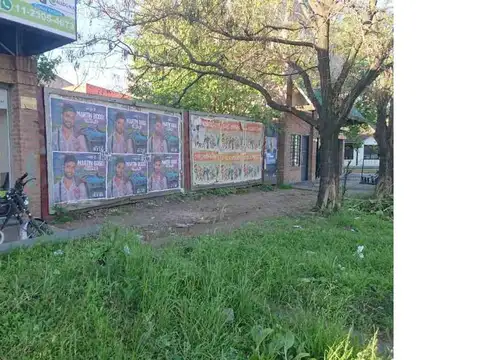 Alvear 1300