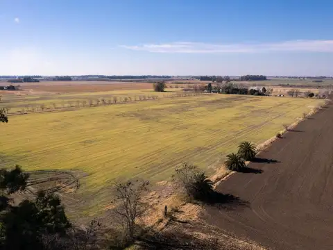 Campo en venta 25ha en San Andres de Giles