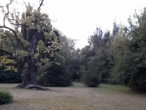 Terreno en Venta 56  mts Fondo