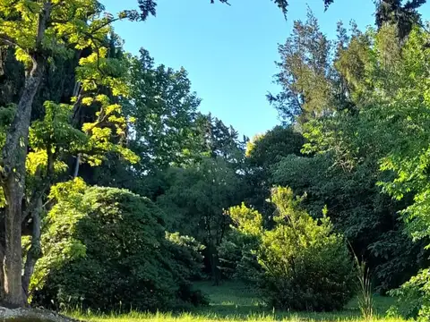 Cosme Argerich al 1500