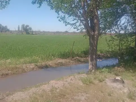 Venta de campo en Bowen, Gral Alvear
