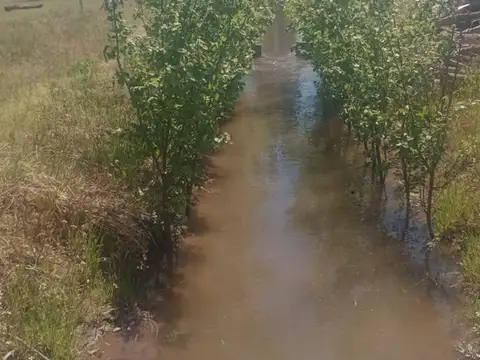 Venta de campo en Bowen, Gral Alvear