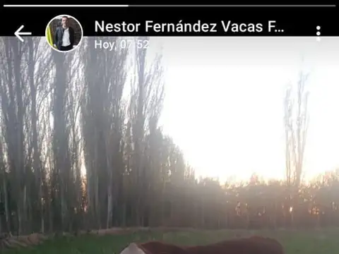 Venta de campo en Bowen, Gral Alvear