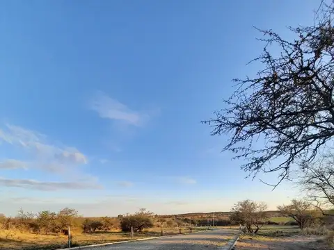 VENTA LOTES-COLINAS DE SINSACATE-2.000M2