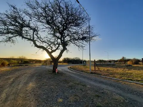 VENTA LOTES-COLINAS DE SINSACATE-2.000M2