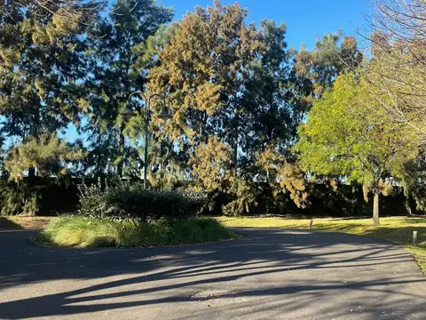 Terreno en Venta de 771,0 m2