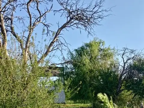 Ruta 39 LA FLORIDA 100