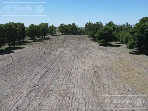 Campo mixto en venta de 60 Has A 2.5 km de  Loma Verde - Ranchos
