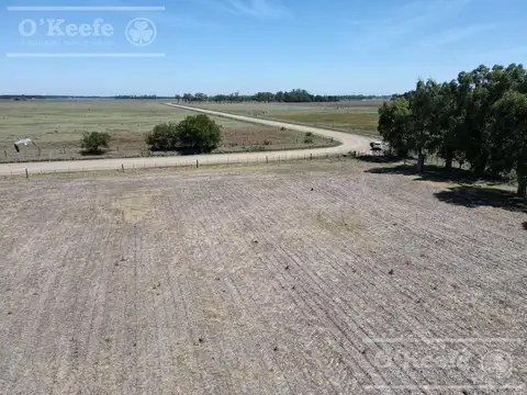 Campo mixto en venta de 60 Has A 2.5 km de  Loma Verde - Ranchos