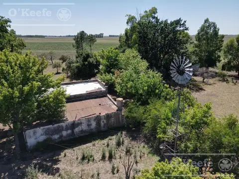 Campo mixto en venta de 60 Has a 2.5 km de  Loma Verde  - Ranchos