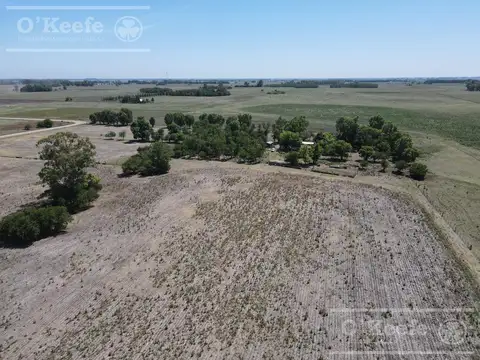 Campo mixto en venta de 60 Has a 2.5 km de  Loma Verde  - Ranchos